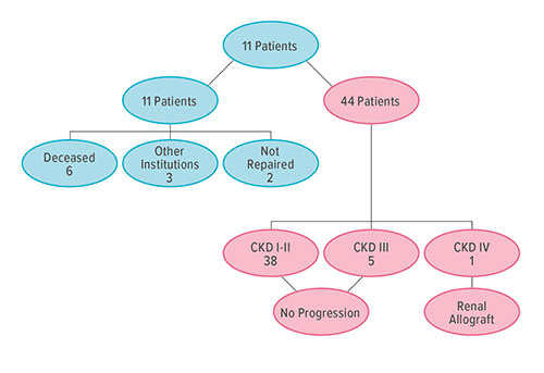 Fig A:  The chart illustrates the importance of early interventions and long-term care strategies in halting the progression of chronic kidney disease in children with cloaca. The 44 patients studied were all treated only at Cincinnati Children’s. It also shows the severity of cloaca. Of the 11 children in the initial cohort who were not studied, six died and three were treated at one time at other institutions.